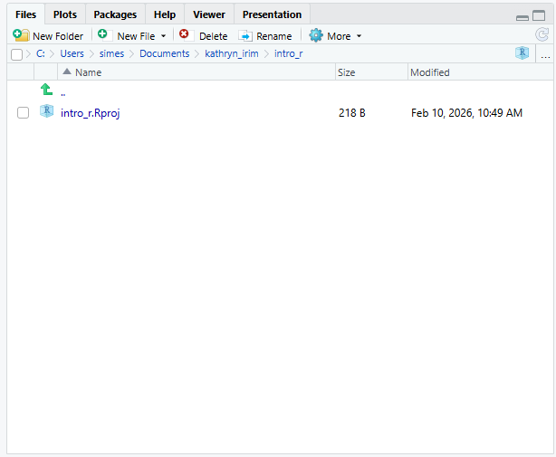 RStudio Files pane.